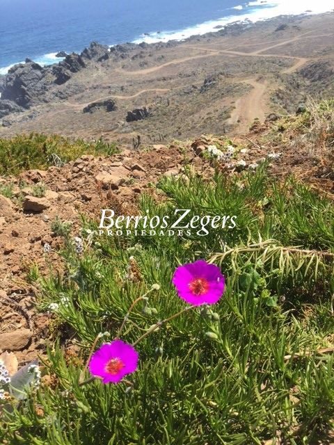 Terreno en venta en Ovalle — foto 4