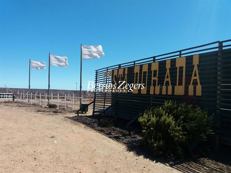 Terreno en venta en Ovalle — foto 8