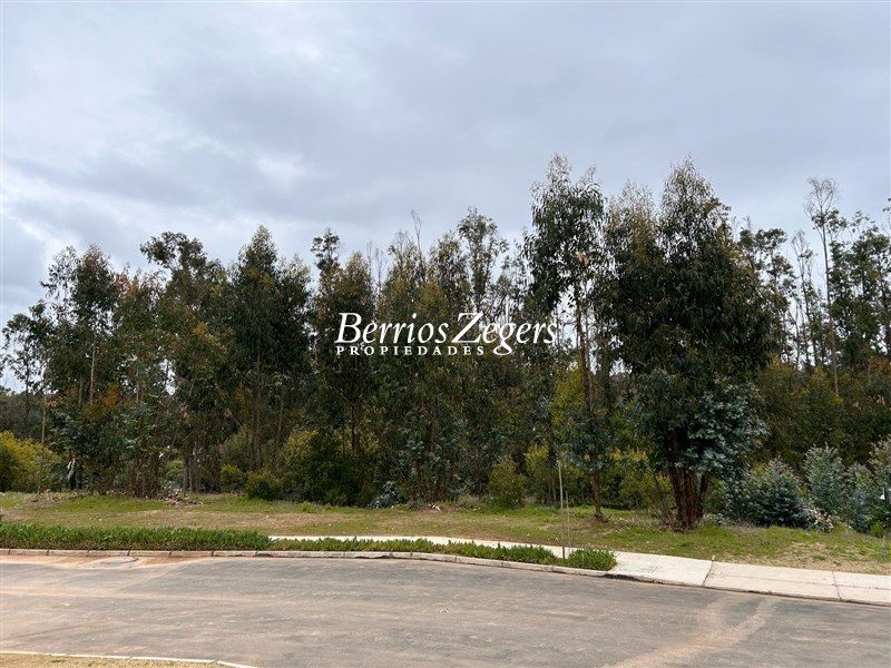 Terreno en venta en Puchuncaví — foto 1