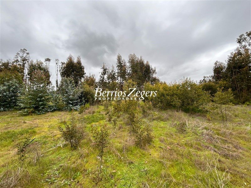 Terreno en venta en Puchuncaví — foto 2