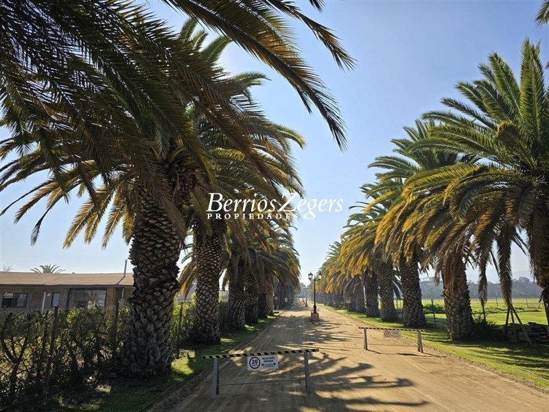Terreno en venta en Isla de Maipo — foto 6