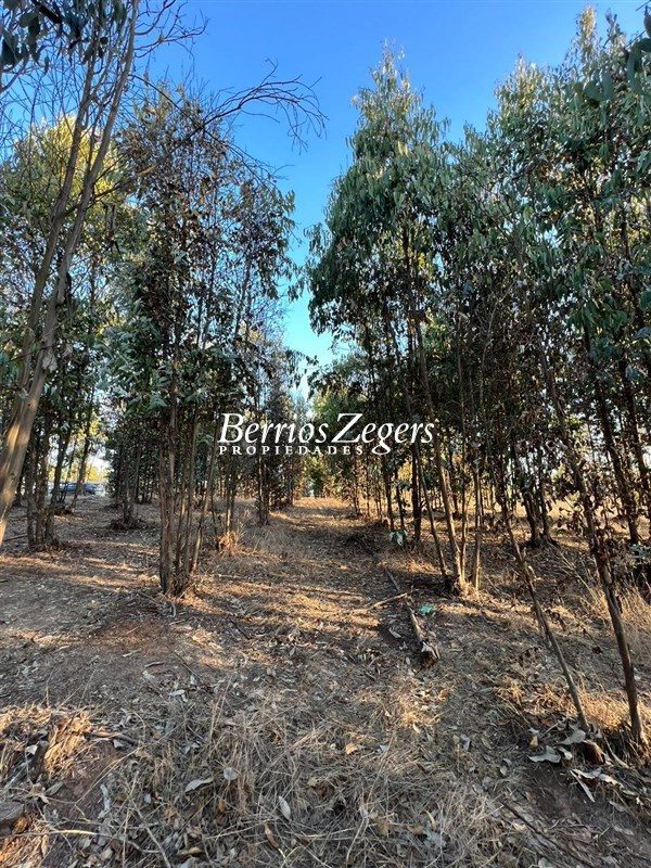Terreno en venta en Quintero — foto 4