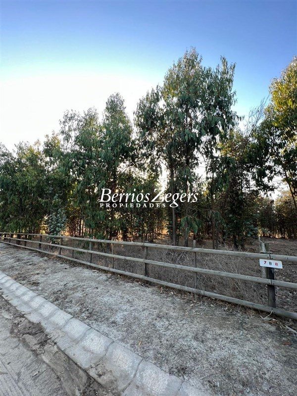 Terreno en venta en Quintero — foto 5