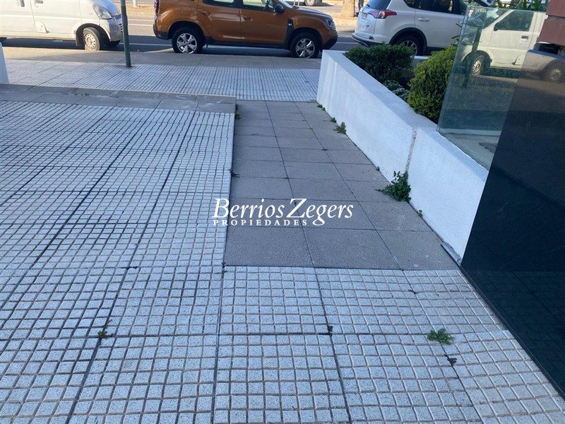 Local comercial en arriendo en Viña del Mar — foto 6