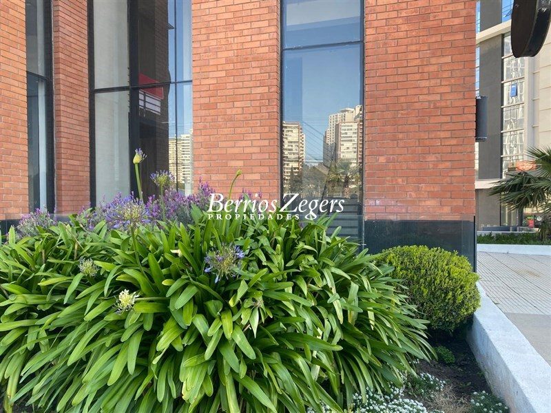 Local comercial en arriendo en Viña del Mar — foto 7