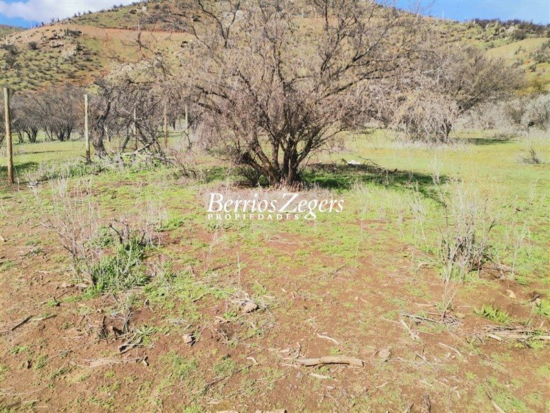 Terreno en venta en Curacaví — foto 8