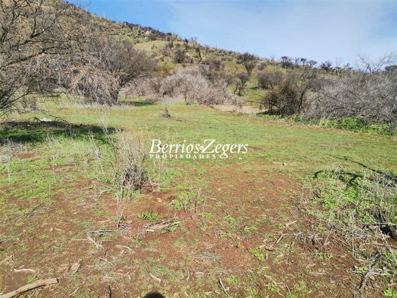 Terreno en venta en Curacaví — foto 9