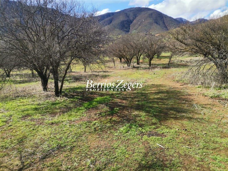 Terreno en venta en Curacaví — foto 10