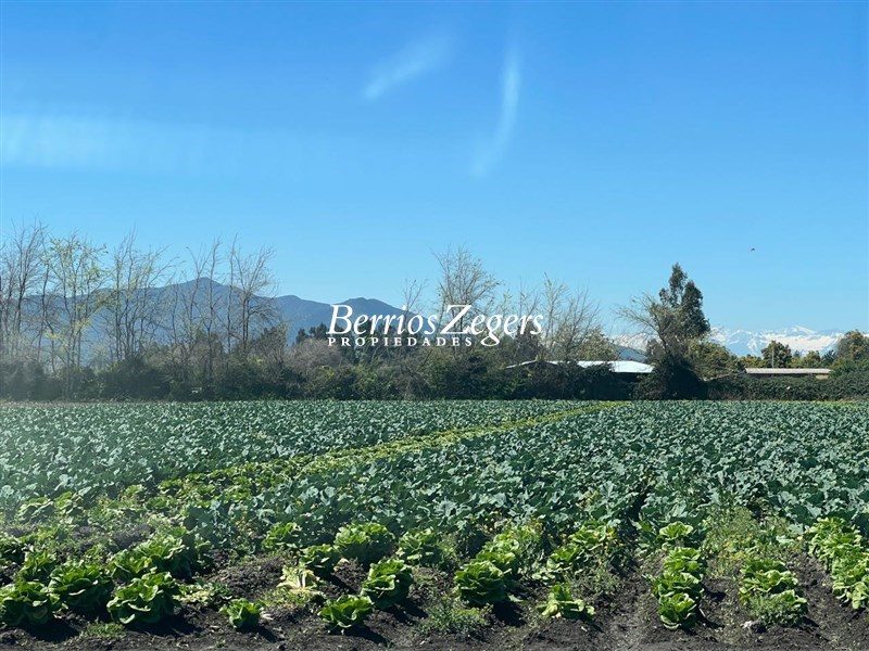 Terreno en venta en Melipilla — foto 1