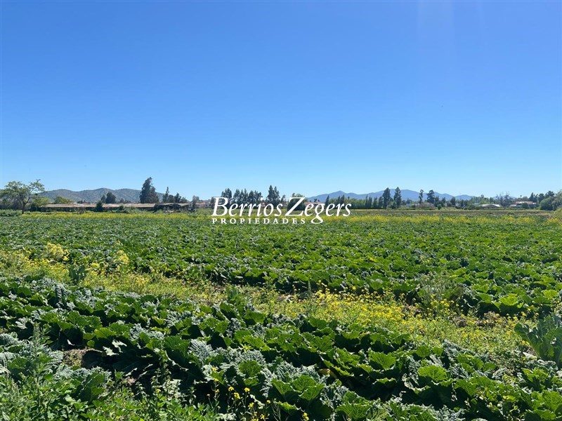 Terreno en venta en Melipilla — foto 2