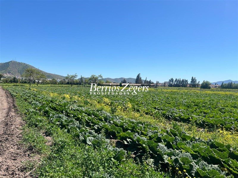 Terreno en venta en Melipilla — foto 4