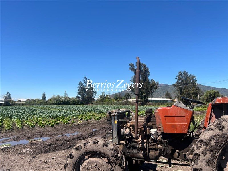 Terreno en venta en Melipilla — foto 7