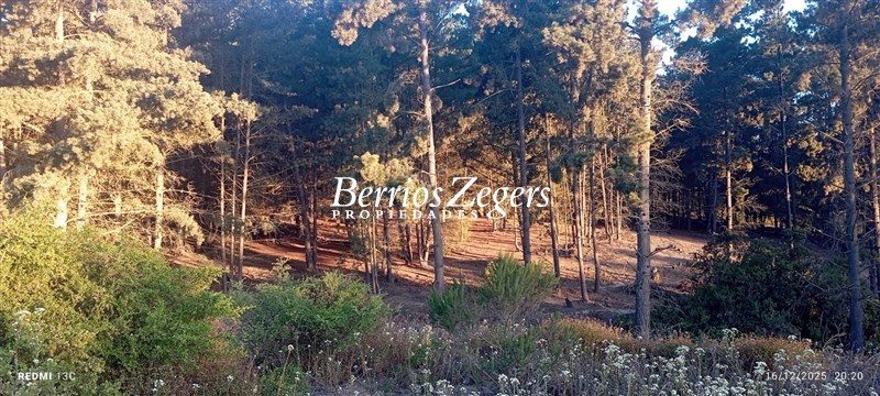 Terreno en venta en Viña del Mar — foto 2