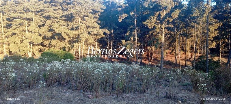 Terreno en venta en Viña del Mar — foto 4