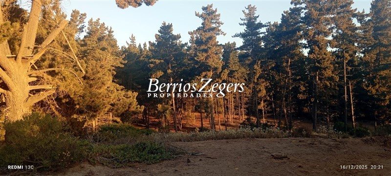 Terreno en venta en Viña del Mar — foto 5