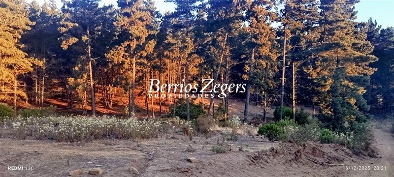 Terreno en venta en Viña del Mar — foto 6