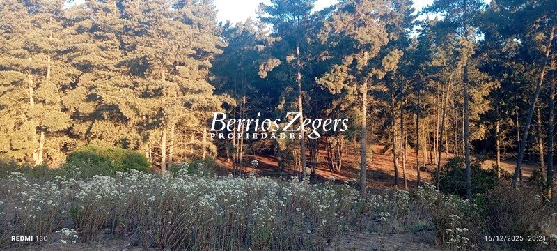 Terreno en venta en Viña del Mar — foto 8