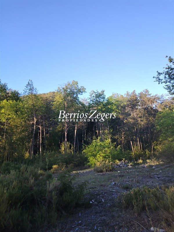 Parcela en venta en Coihueco — foto 3