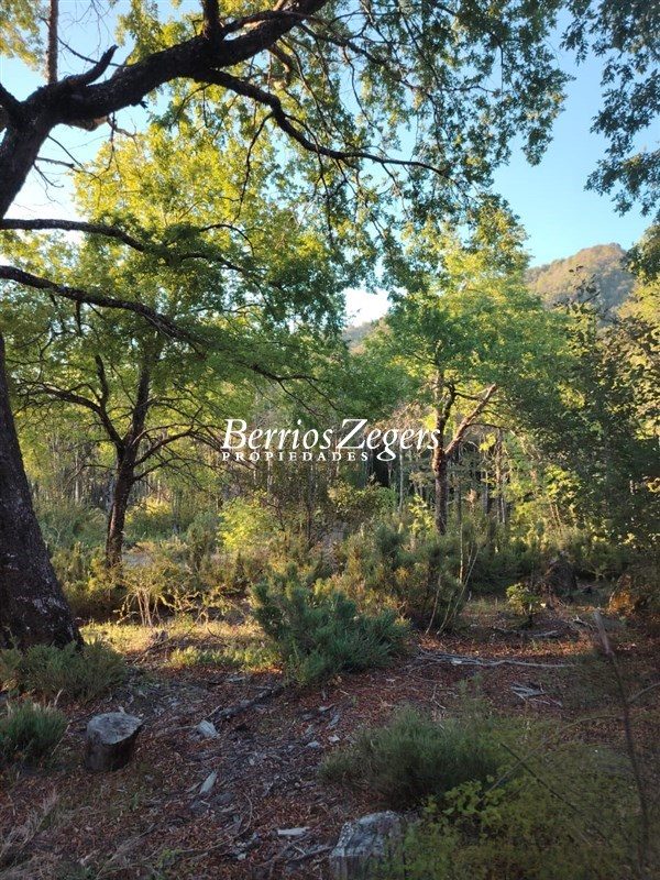 Parcela en venta en Coihueco — foto 4