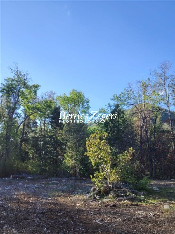 Parcela en venta en Coihueco — foto 5
