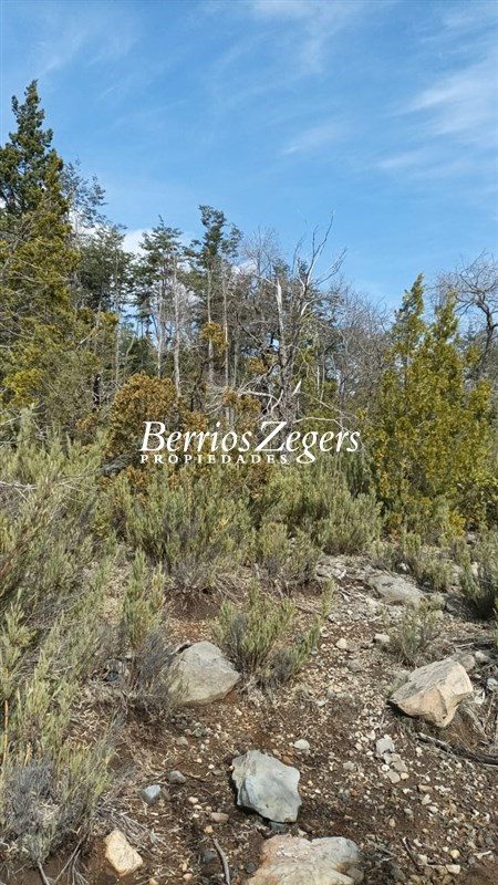 Parcela en venta en Coihueco — foto 6