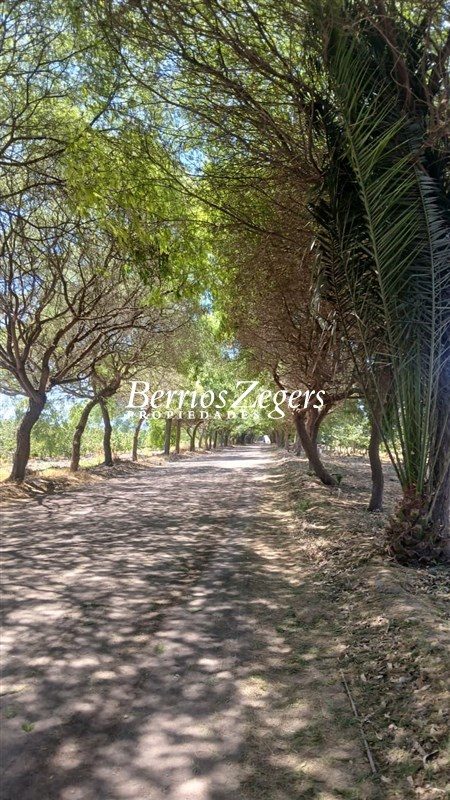 Parcela en venta en Talagante — foto 2