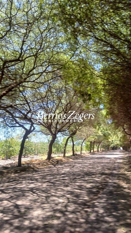 Parcela en venta en Talagante — foto 4
