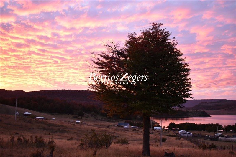Terreno en venta en Coyhaique — foto 4