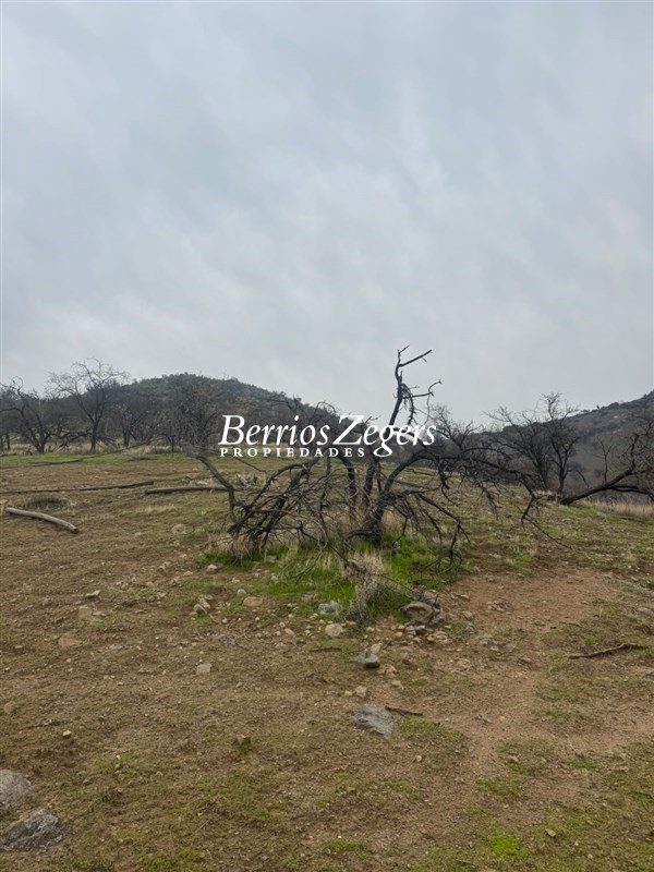 Terreno en venta en Colina — foto 8