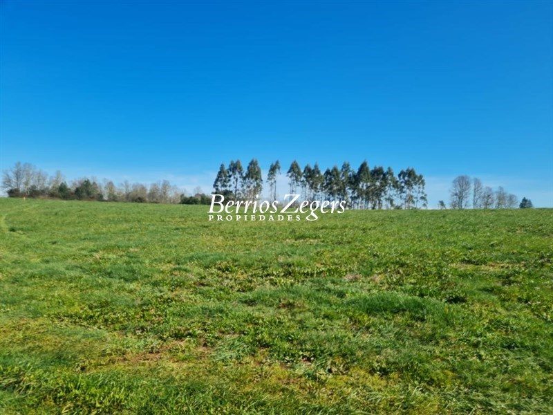 Parcela en venta en Valdivia — foto 4