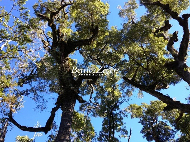 Parcela en venta en Chonchi — foto 5