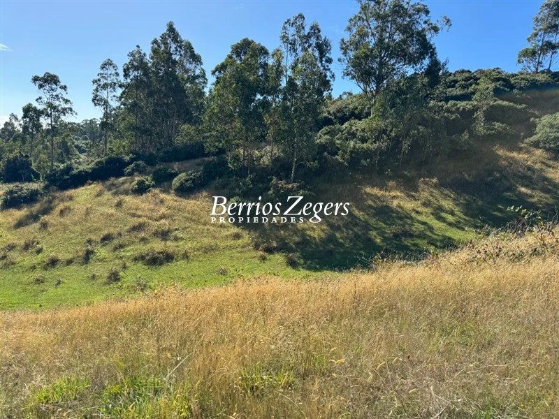 Parcela en venta en Castro — foto 8