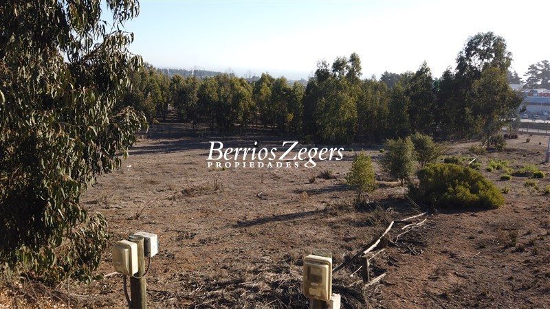 Terreno en venta en Puchuncaví — foto 4