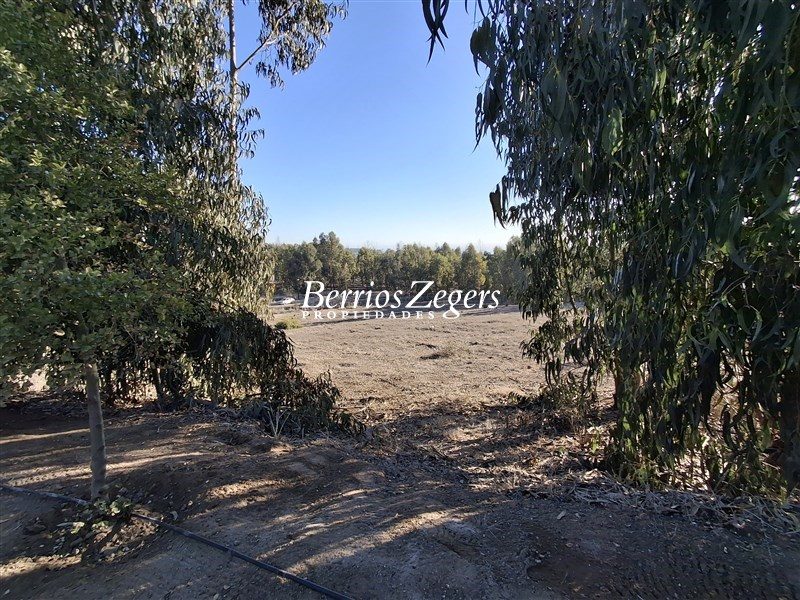 Terreno en venta en Puchuncaví — foto 9
