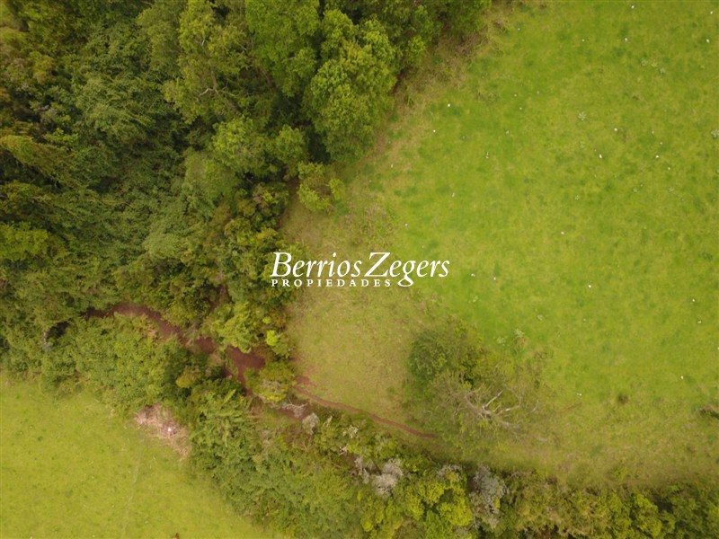 Terreno en venta en Carahue — foto 1