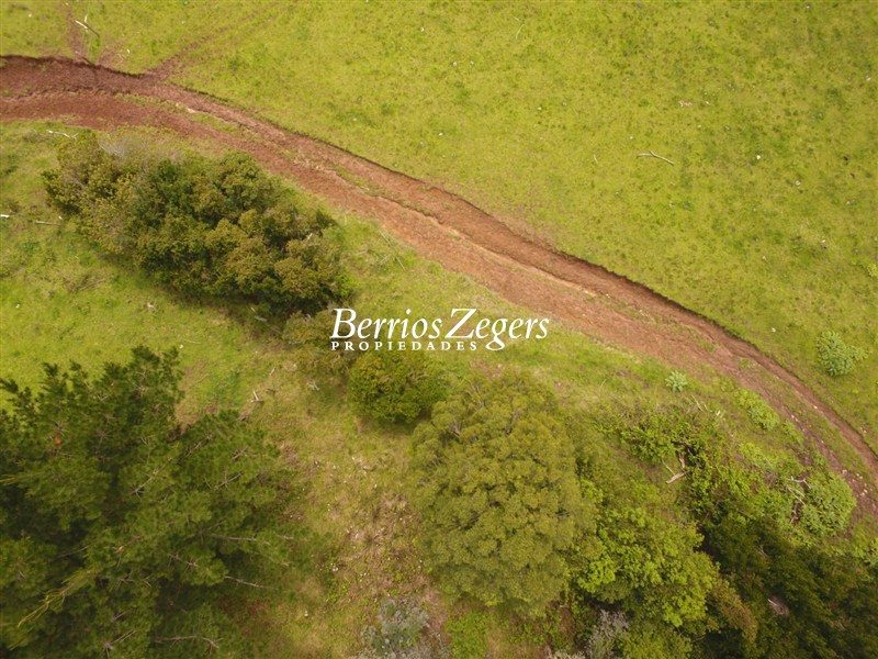 Terreno en venta en Carahue — foto 5