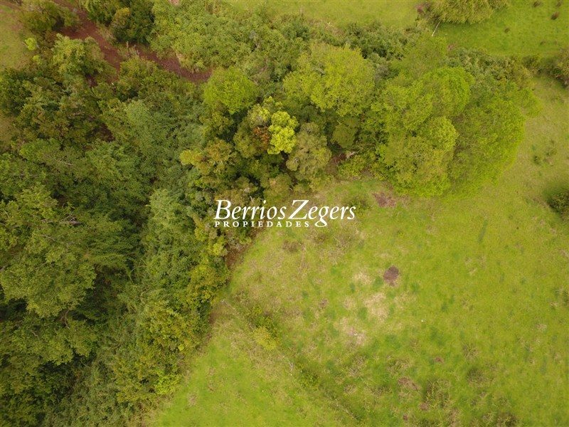 Terreno en venta en Carahue — foto 7