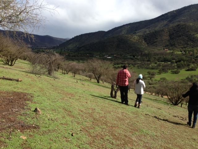 Terreno en venta en Curacaví — foto 3