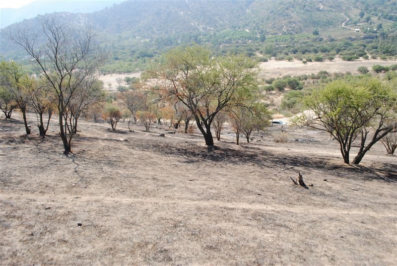 Terreno en venta en Curacaví — foto 5