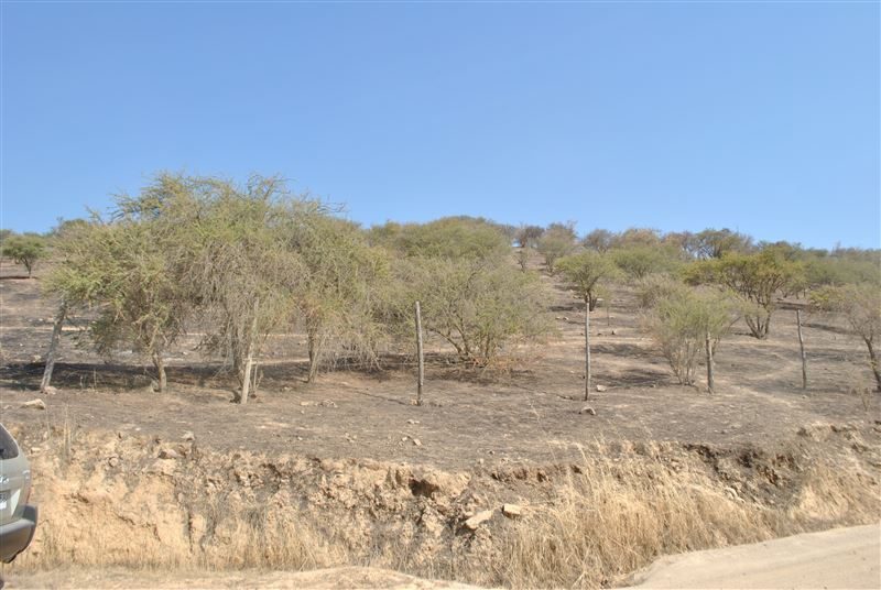 Terreno en venta en Curacaví — foto 6