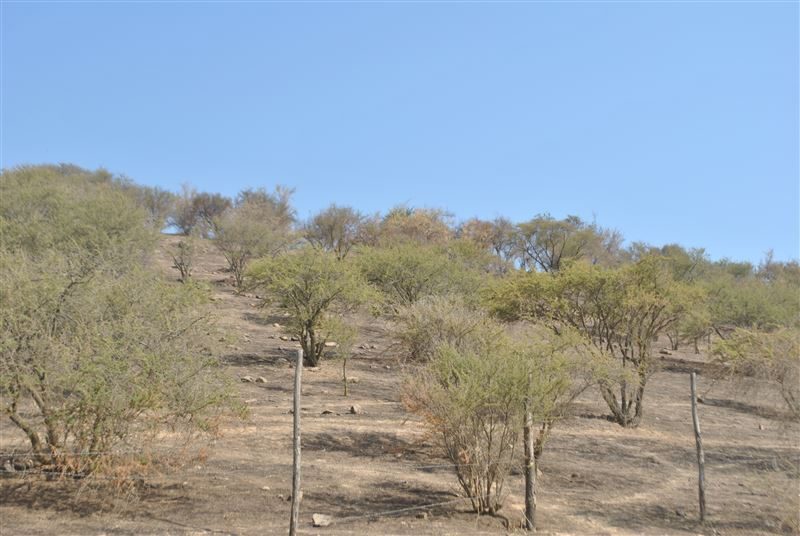 Terreno en venta en Curacaví — foto 7