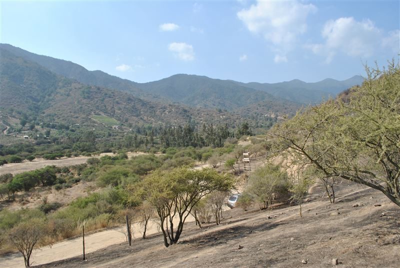 Terreno en venta en Curacaví — foto 9