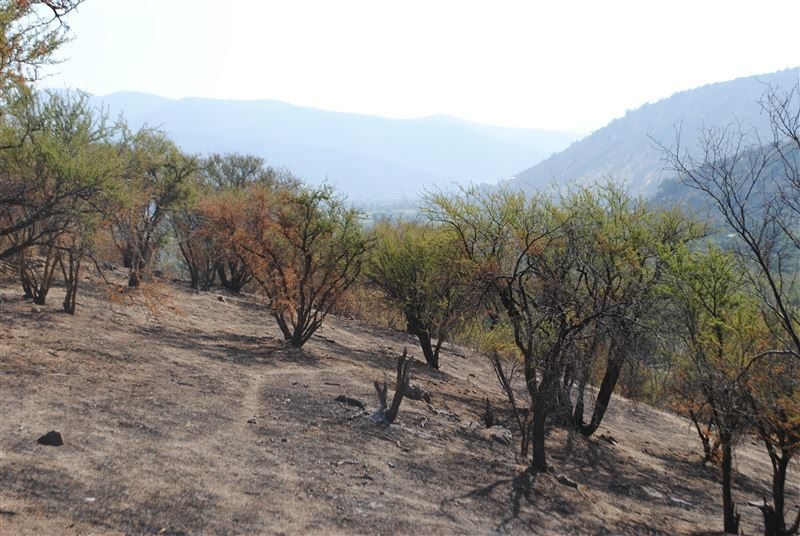 Terreno en venta en Curacaví — foto 10