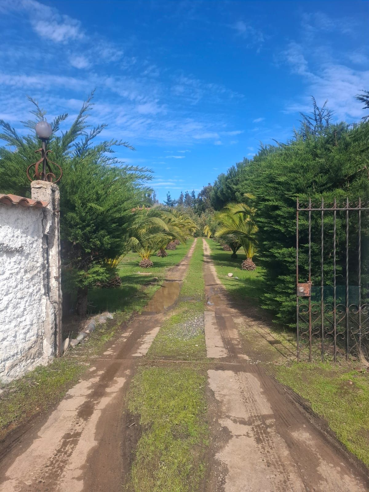 Parcela en venta en Algarrobo — foto 1