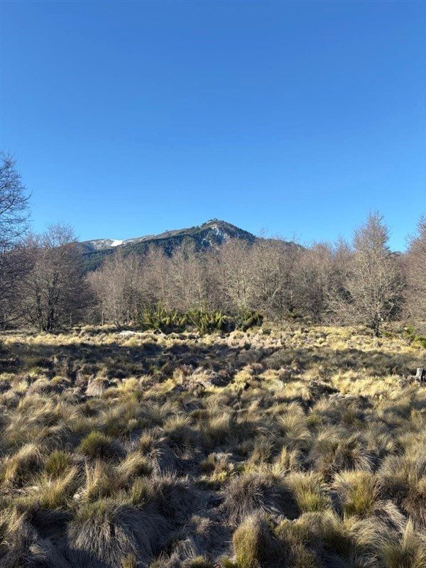 Terreno en venta en Curacautín — foto 2