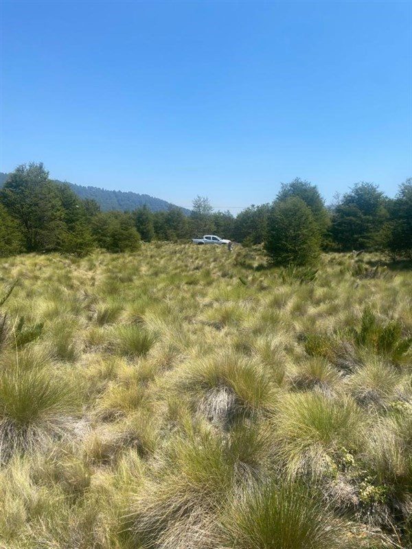 Terreno en venta en Curacautín — foto 3
