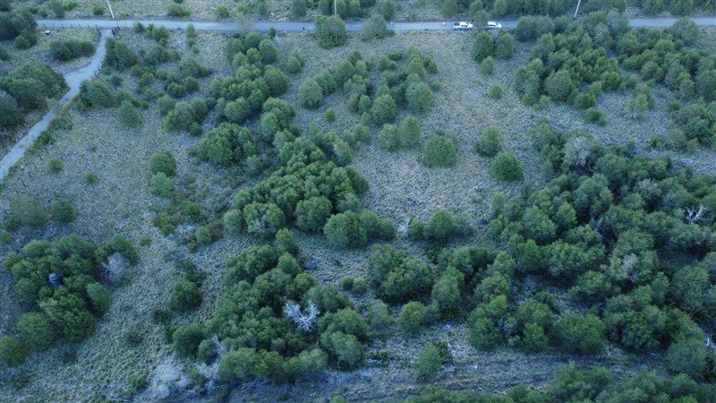 Terreno en venta en Curacautín — foto 6