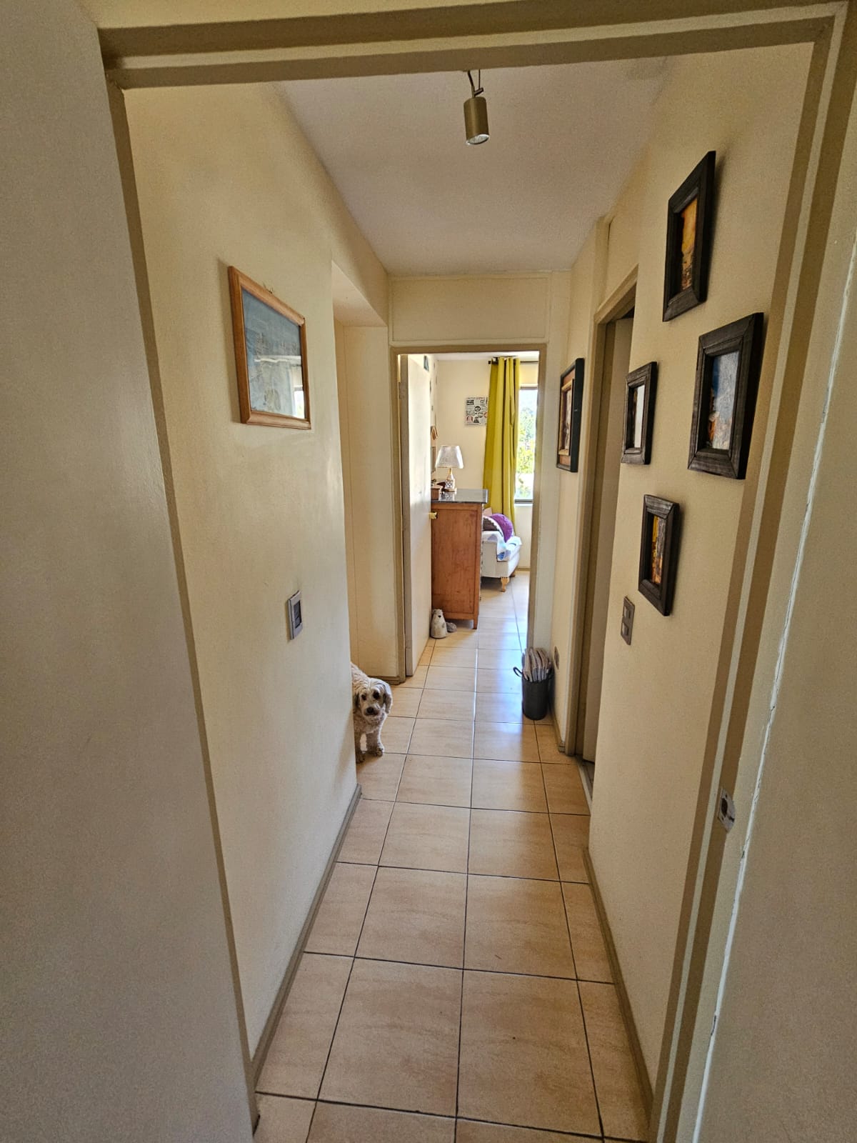 Departamento en venta en Papudo — foto 2