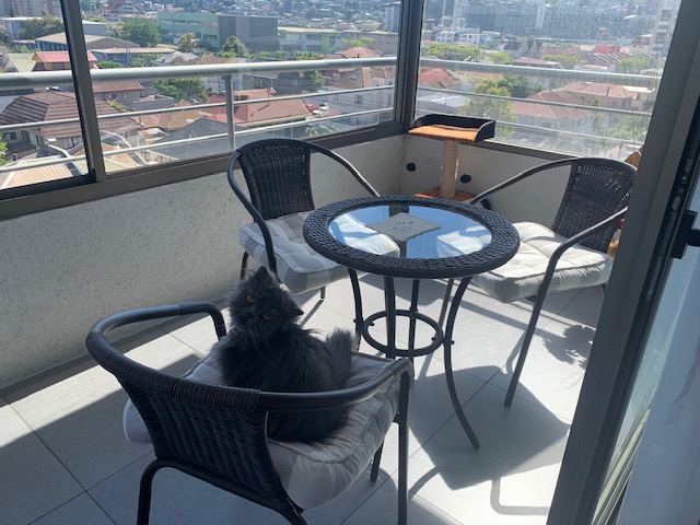 Departamento en venta en Viña del Mar — foto 3