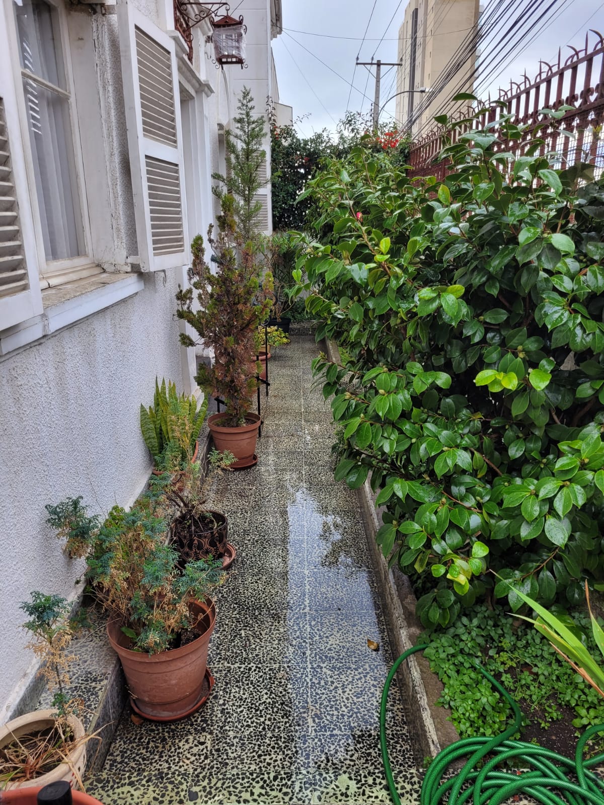 Casa en arriendo en Viña del Mar — foto 3